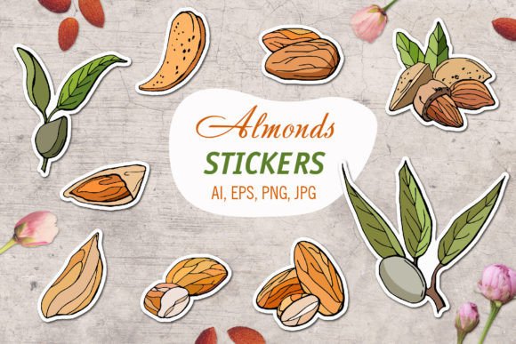 Download Almond/ Printable Stickers Cricut Design - Print Collection