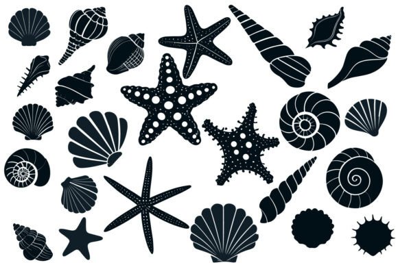 Download Sea Shell Starfish Beach SVG Silhouette - Beach svg Collection